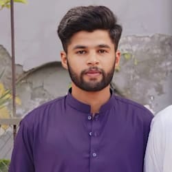ali_raza_2010