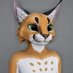 trade_nova02