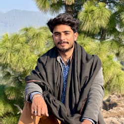 abbasi066