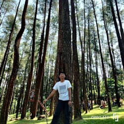 pandu_darmawan