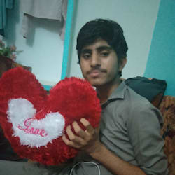 wajidmalik691