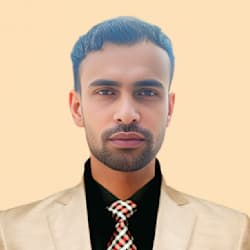 wordpress_2025
