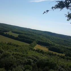 xkursedd