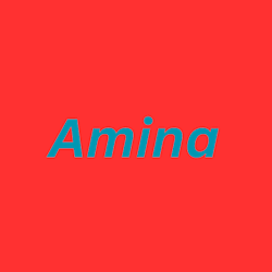 amina_expert21