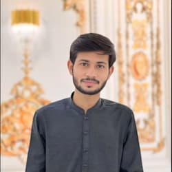 aleemshahg