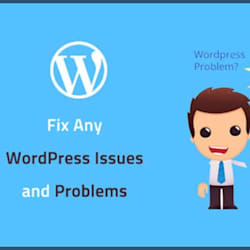webdeveloper928