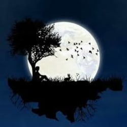 aamir_ali03