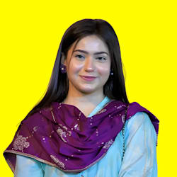 seo_khushnood