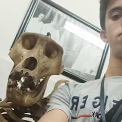 drsalah3d