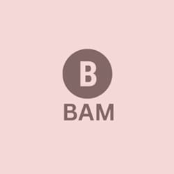bams_tech001