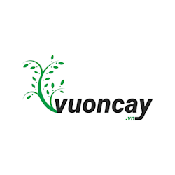 vuoncayvn