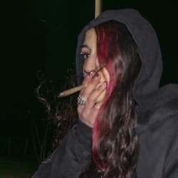 der_schwarz