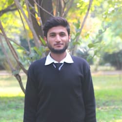 alirauf001