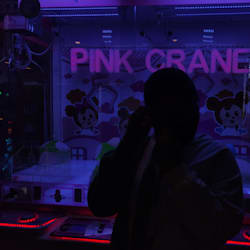 sugarendpinks
