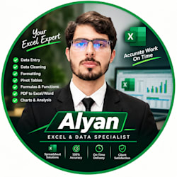 alyan_excel1