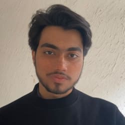 hamzawpsites
