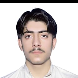 zainsahebzada