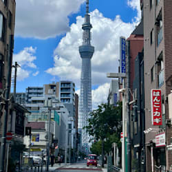 natsumi_o