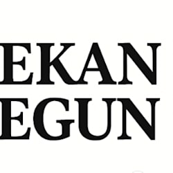 lekan_isegun