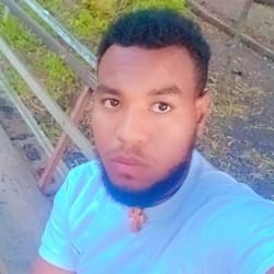 addistranslate_