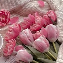 tanu_excel27