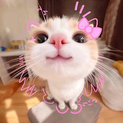 eshal_moosa