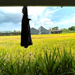 yogaagung