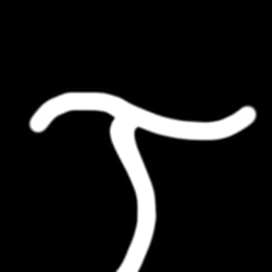 turpalon1