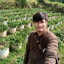 anggidp