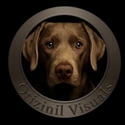 otizinilvisuals