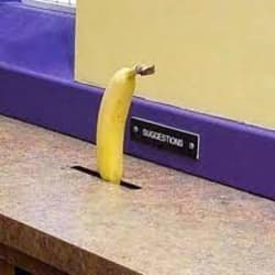 neonnanner