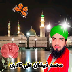 zeeshansadiq497