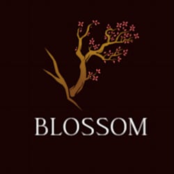 blossom_elly