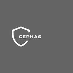 cephasphy