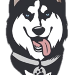 Fiverr profile picture for @renerb