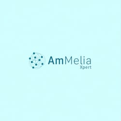 ammelia_resume