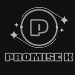 promisetking