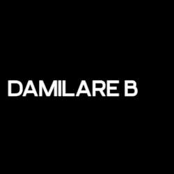 damilareb_web