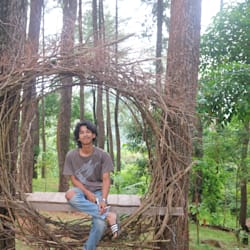 fianvian