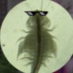 fandomquest