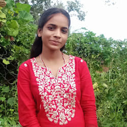 transltr_pushpa