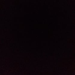 rishika_1905