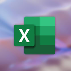 alam_excel99