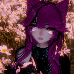 sinsin_selina