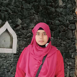 seo_rank_sadia