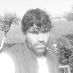 pashtotrans1