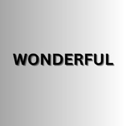 wonderful_15