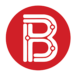 logo_birds