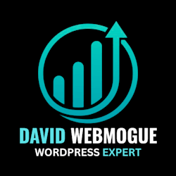 david_webmogue