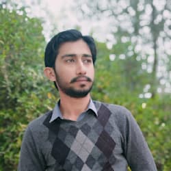 hassantamim1